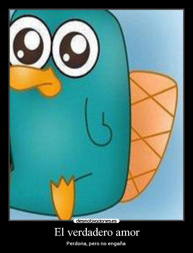 carteles amor hector desmotivaciones