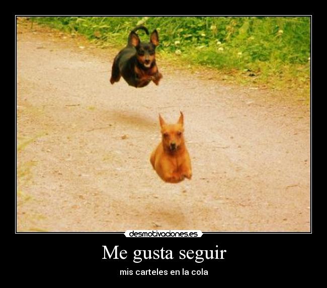 Me gusta seguir -