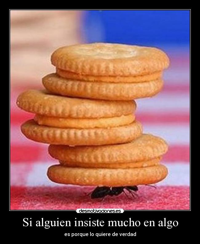 Si alguien insiste mucho en algo - 