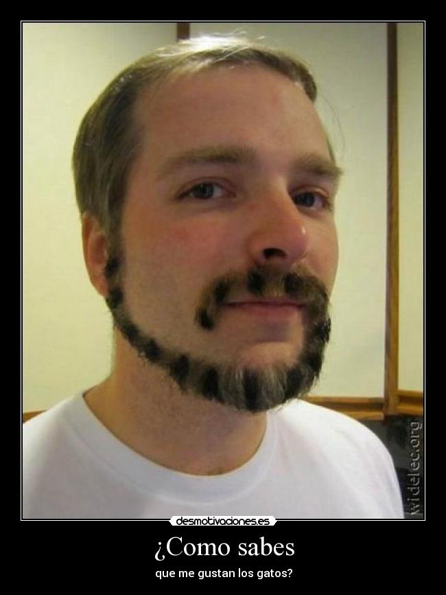 ¿Como sabes - que me gustan los gatos?