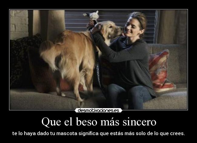 Que el beso más sincero - te lo haya dado tu mascota significa que estás más solo de lo que crees.