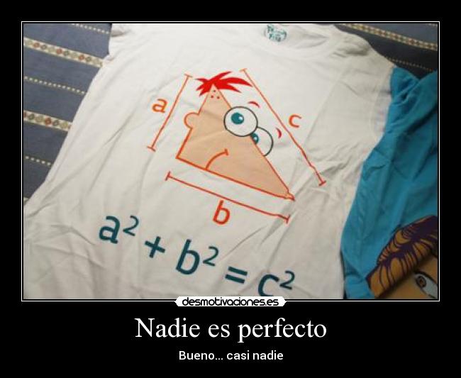 Nadie es perfecto -