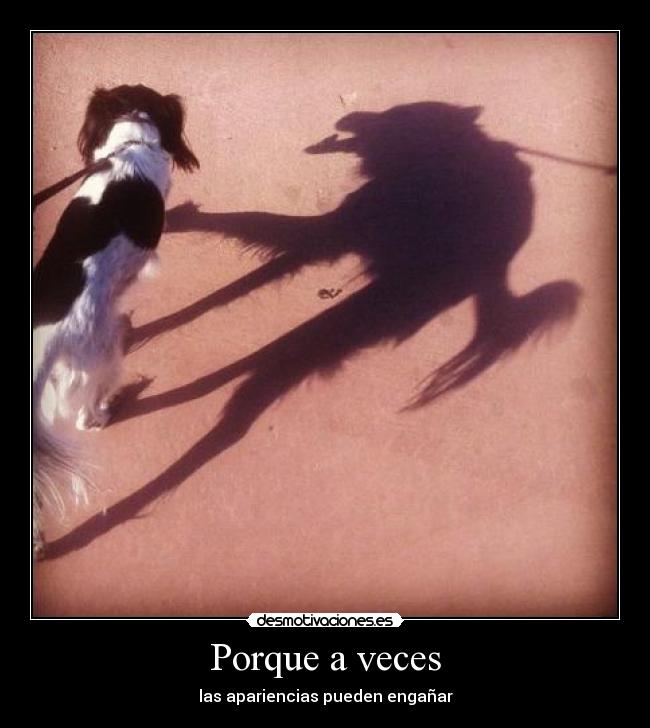 Porque a veces - 