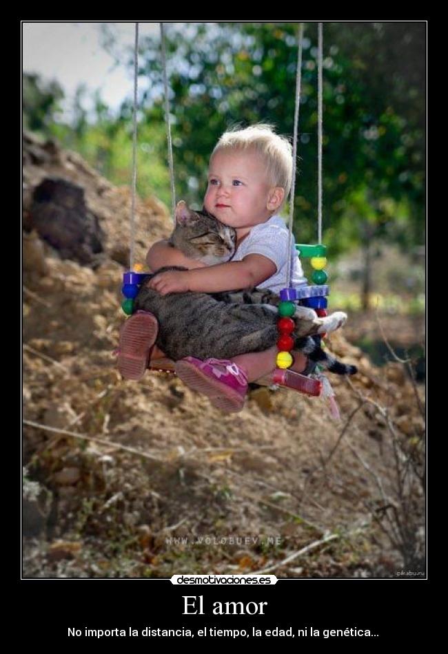 El amor - No importa la distancia, el tiempo, la edad, ni la genética... ♥