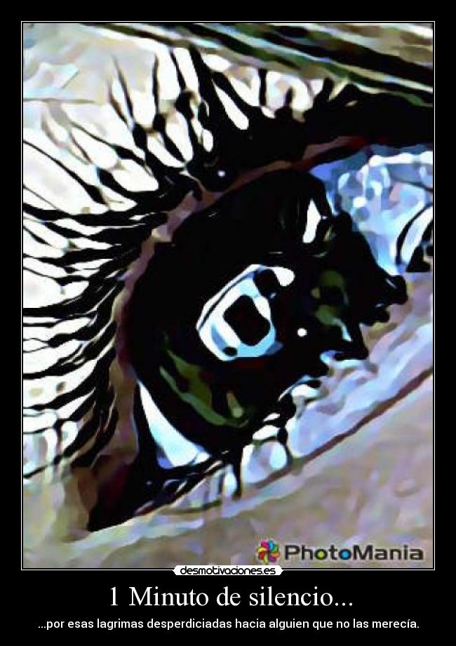 1 Minuto de silencio... - ...por esas lagrimas desperdiciadas hacia alguien que no las merecía.
