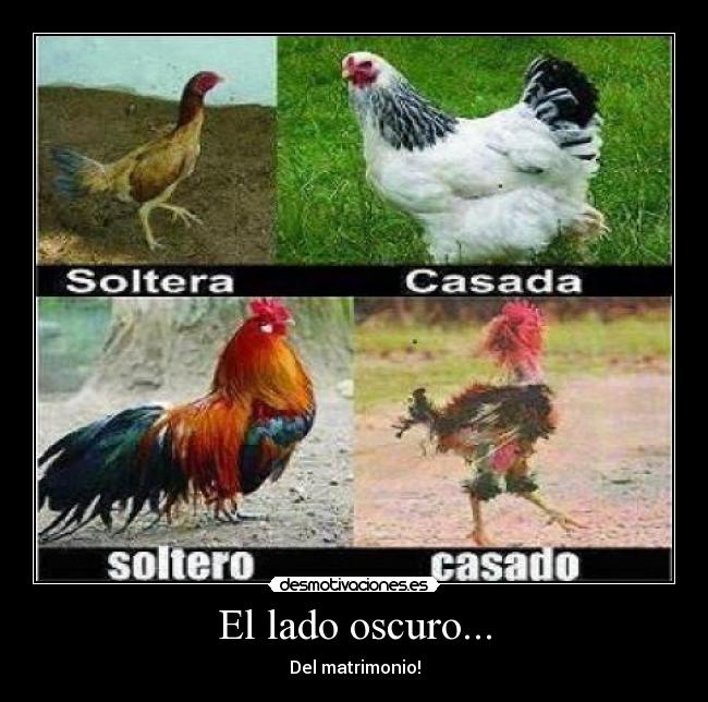 El lado oscuro... - Del matrimonio!