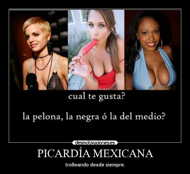 carteles picardia mexicana albul troll mexicano desmotivaciones