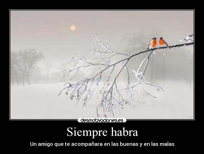 Siempre habra - Un amigo que te acompañara en las buenas y en las malas