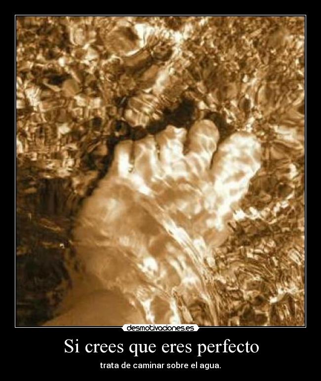 Si crees que eres perfecto - 