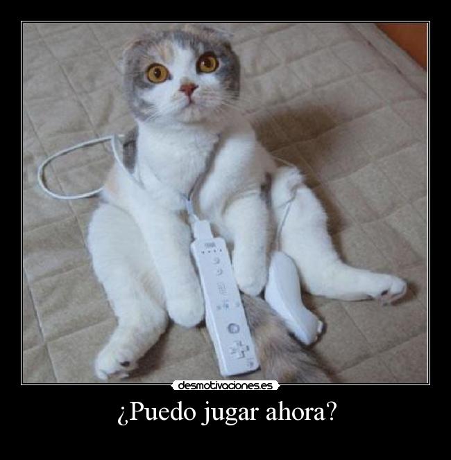 carteles gato jugando wii desmotivaciones