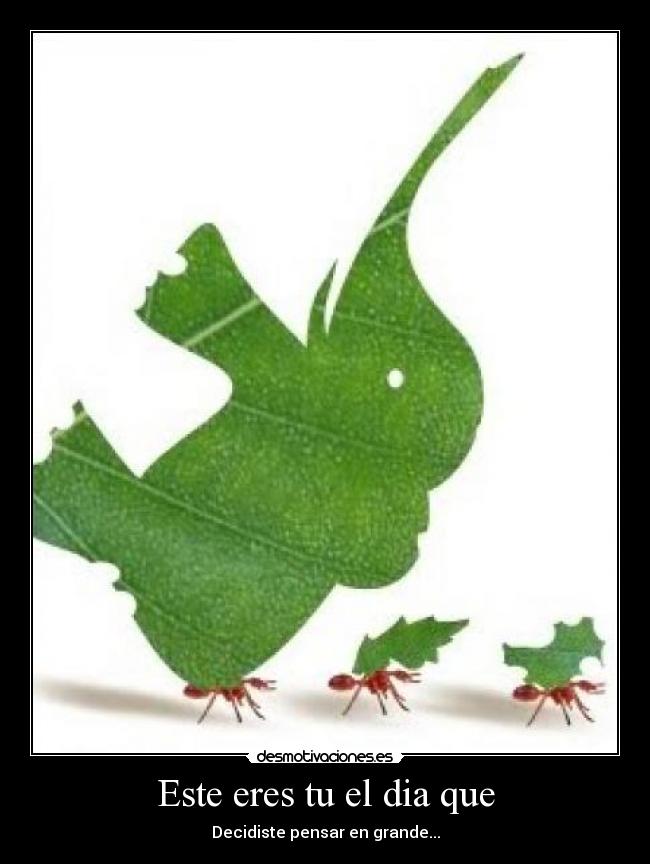 Este eres tu el dia que - 
