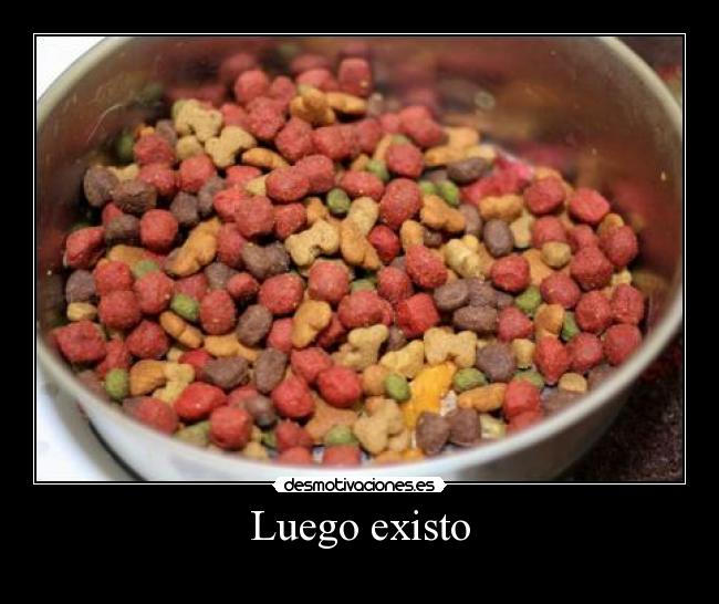 Luego existo -