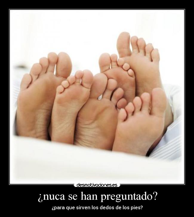 carteles alex desmotivaciones