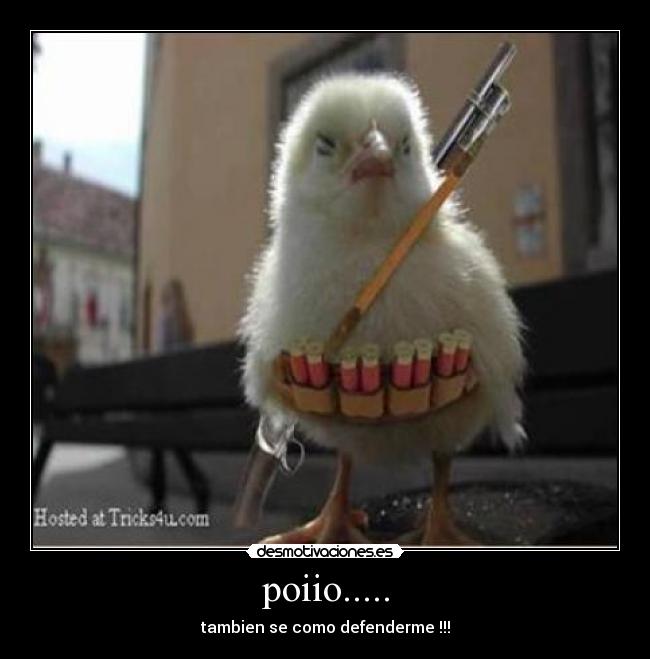 poiio..... - tambien se como defenderme !!!