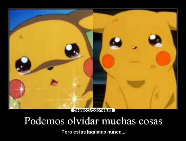Podemos olvidar muchas cosas - 