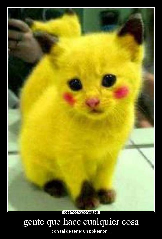 gente que hace cualquier cosa -