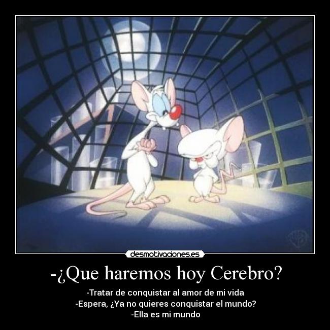 -¿Que haremos hoy Cerebro? - -Tratar de conquistar al amor de mi vida
-Espera, ¿Ya no quieres conquistar el mundo?
-Ella es mi mundo