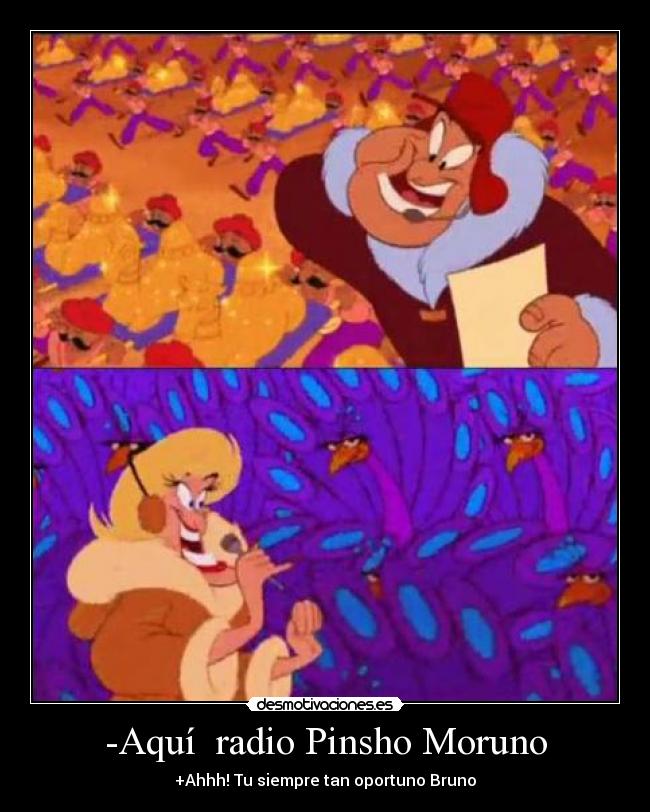 -Aquí  radio Pinsho Moruno - 