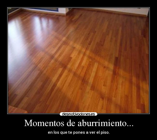 Momentos de aburrimiento... -