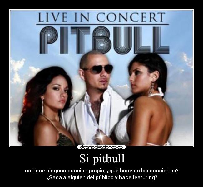 Si pitbull -
