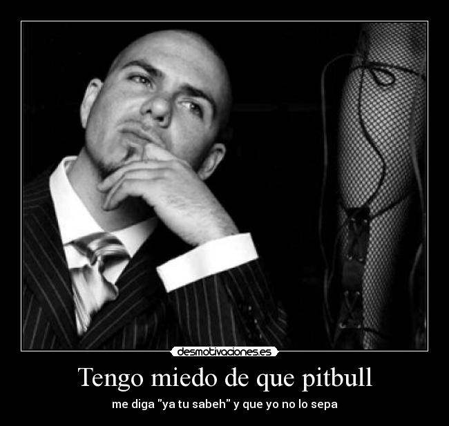 Tengo miedo de que pitbull - me diga ya tu sabeh y que yo no lo sepa