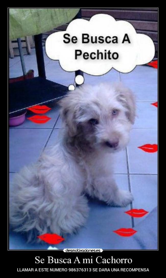 carteles 159 desmotivaciones