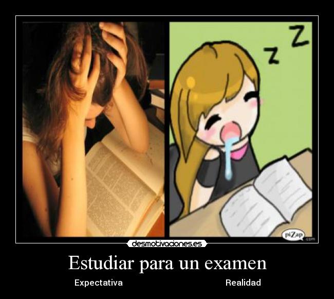 Estudiar para un examen - Expectativa                                                  Realidad