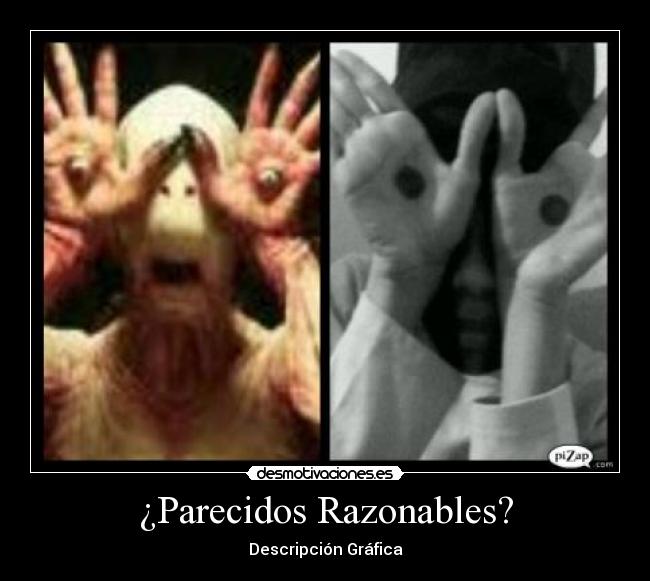 ¿Parecidos Razonables? - 