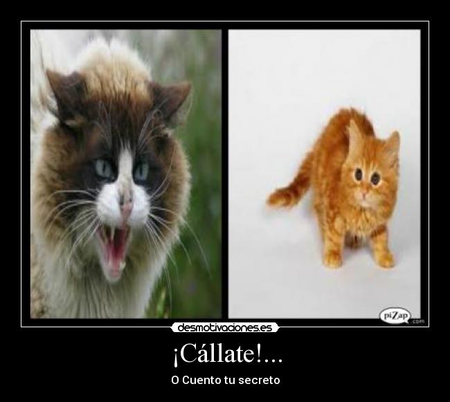¡Cállate!... -