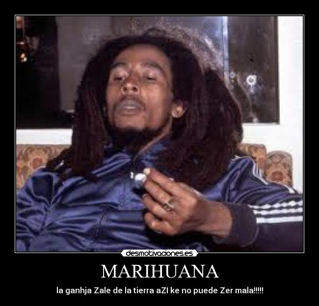 MARIHUANA - la ganhja Zale de la tierra aZI ke no puede Zer mala!!!!!
