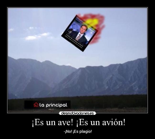 ¡Es un ave! ¡Es un avión! -