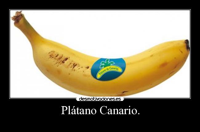 Plátano Canario. - 