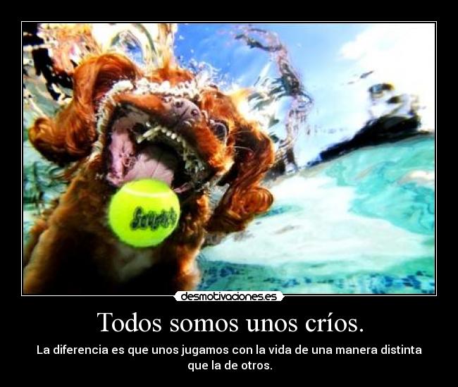 carteles porque hay gente que enfada como crio gente que sabe disfrutar como enano desmotivaciones