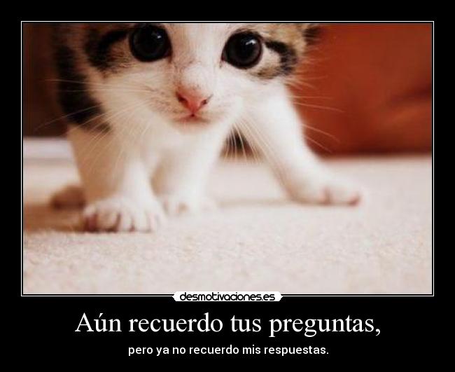 Aún recuerdo tus preguntas, - 