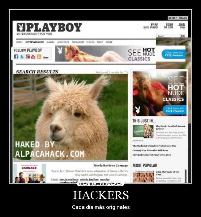 carteles hacker alpaca alpacahack original desmotivaciones