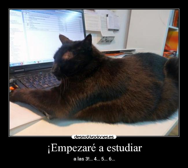 ¡Empezaré a estudiar - a las 3!... 4... 5... 6...