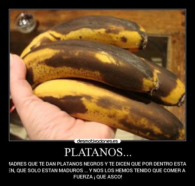 PLATANOS... - MADRES QUE TE DAN PLATANOS NEGROS Y TE DICEN QUE POR DENTRO ESTAN
BIEN, QUE SOLO ESTAN MADUROS ... Y NOS LOS HEMOS TENIDO QUE COMER A LA
FUERZA ¡ QUE ASCO!