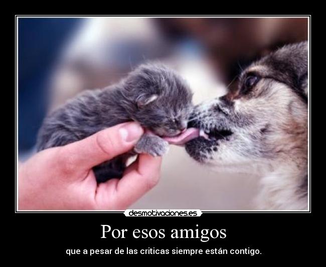 Por esos amigos - 