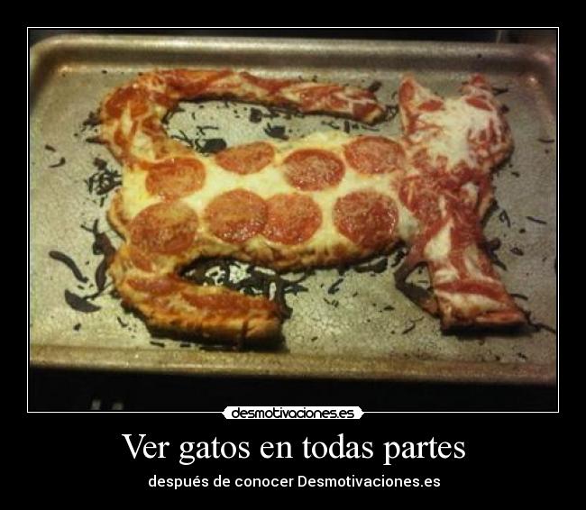 Ver gatos en todas partes - después de conocer Desmotivaciones.es