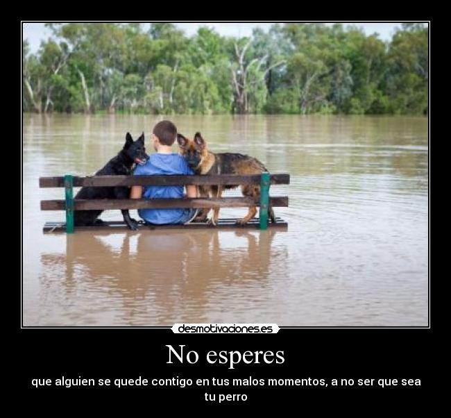 No esperes -