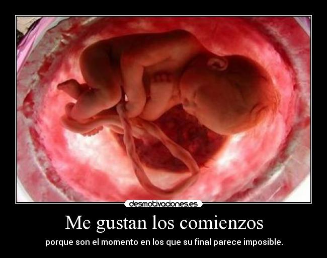 carteles gustan los comienzos desmotivaciones