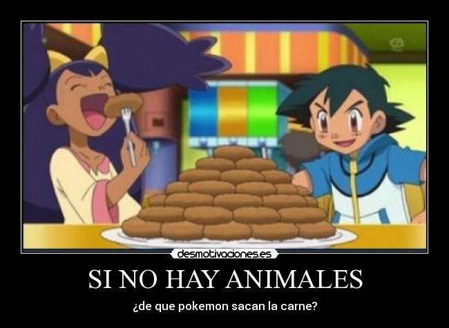 SI NO HAY ANIMALES -
