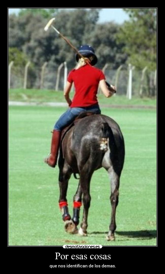 Por esas cosas - que nos identifican de los demas.