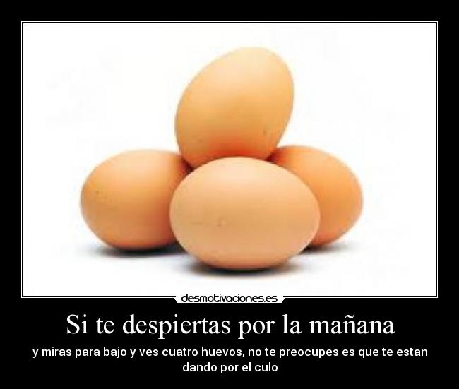 Si te despiertas por la mañana - y miras para bajo y ves cuatro huevos, no te preocupes es que te estan
dando por el culo