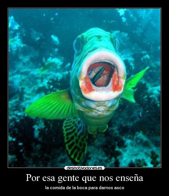 Por esa gente que nos enseña -