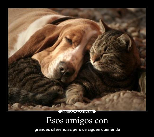 Esos amigos con - grandes diferencias pero se siguen queriendo