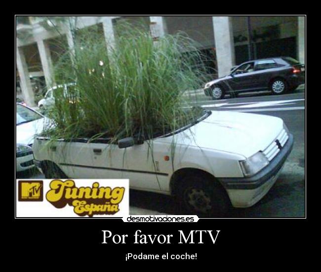 carteles bosque coche desmotivaciones