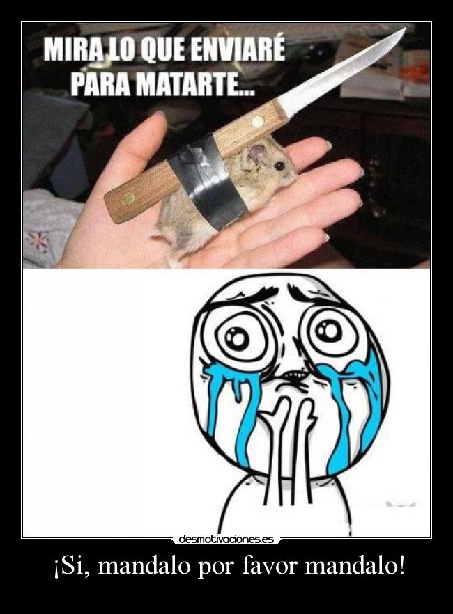 ¡Si, mandalo por favor mandalo! -