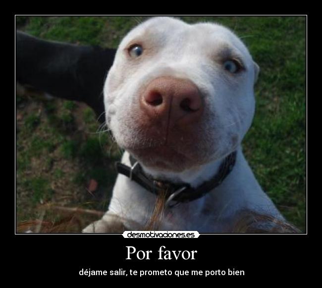 Por favor - 