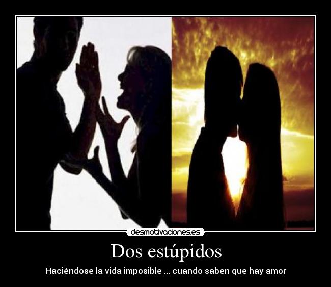 Dos estúpidos -